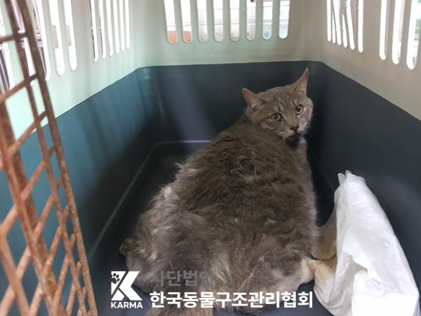 한국동물구조관리협회_441409202500611